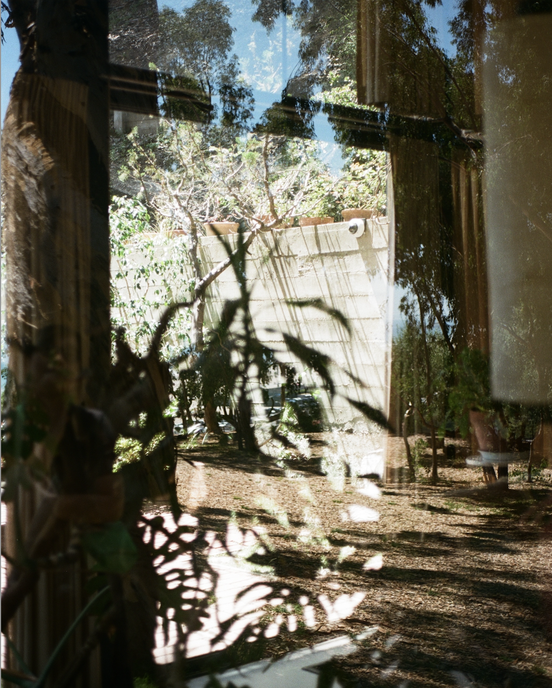 Sunlit garden scene with trees, plants, shadows, and a concrete wall, viewed through a reflective glass window.