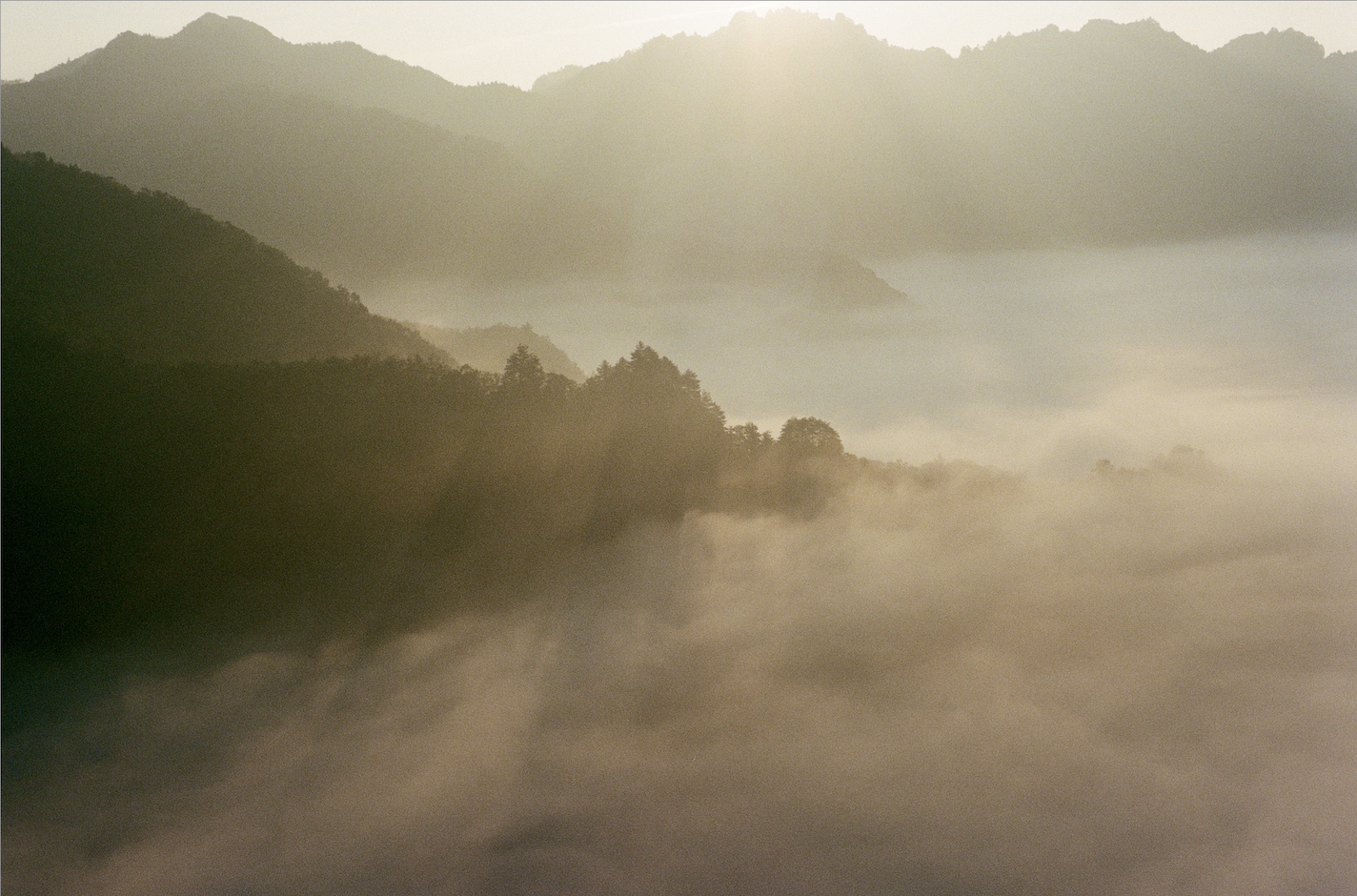 Sunlit mist covering a forested valley with mountain silhouettes in the background.